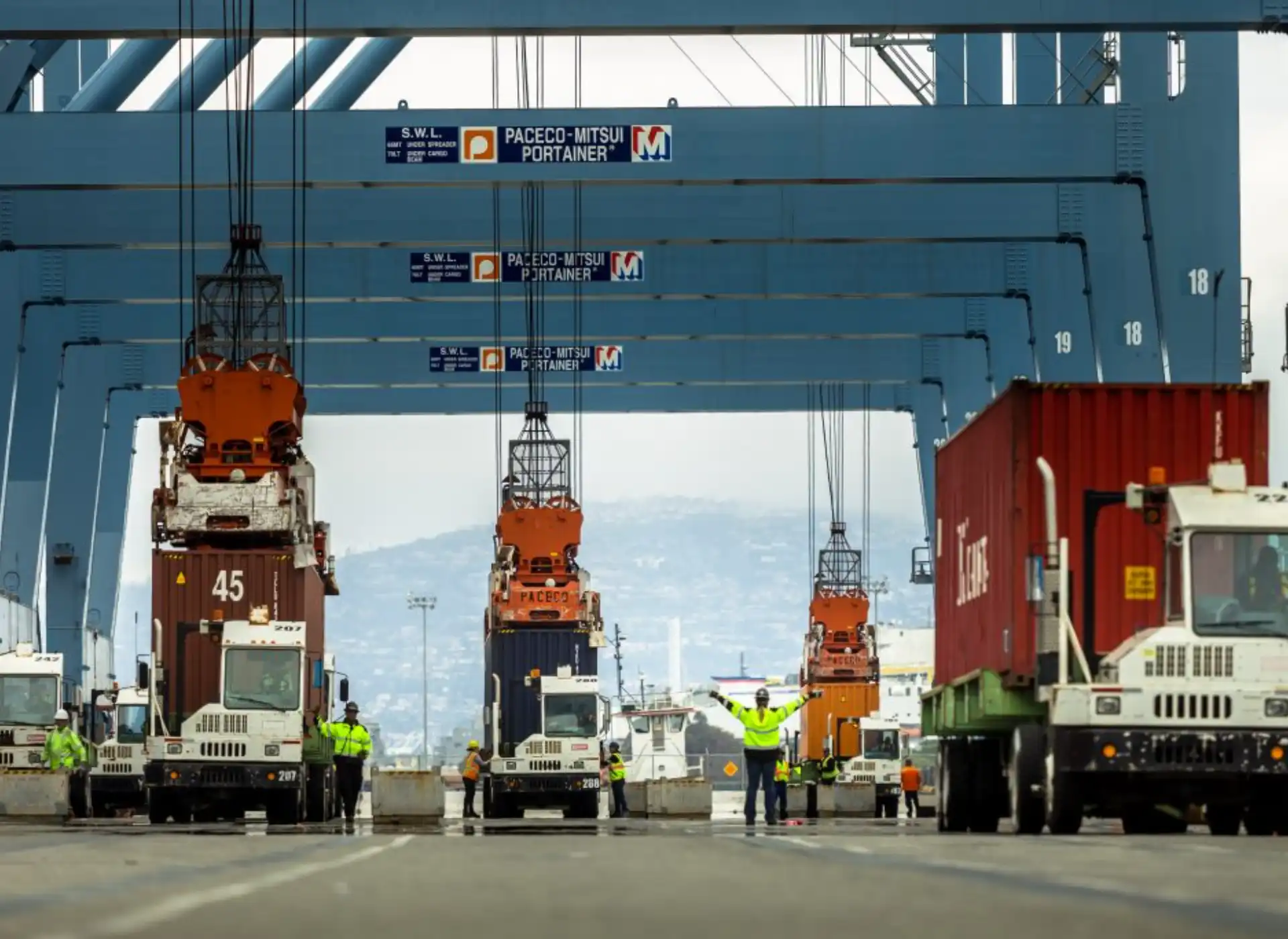 its_000598-1024x683